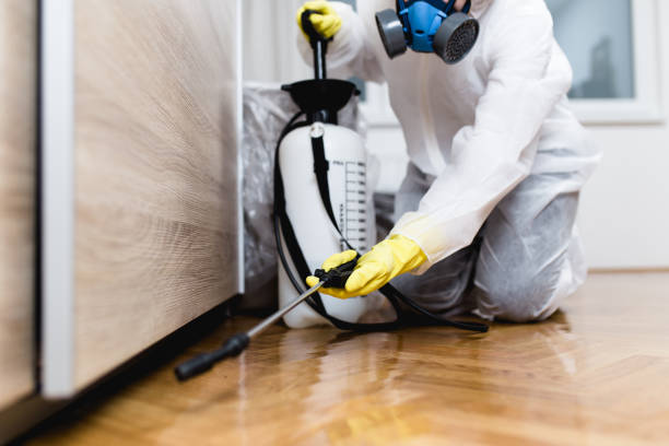 Best Mosquito Control Services  in Helena Valley West Central, MT
