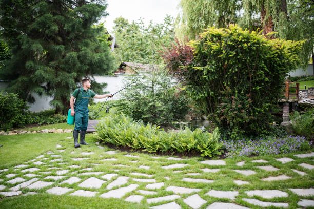 Best Pest Prevention Services  in Helena Valley West Central, MT
