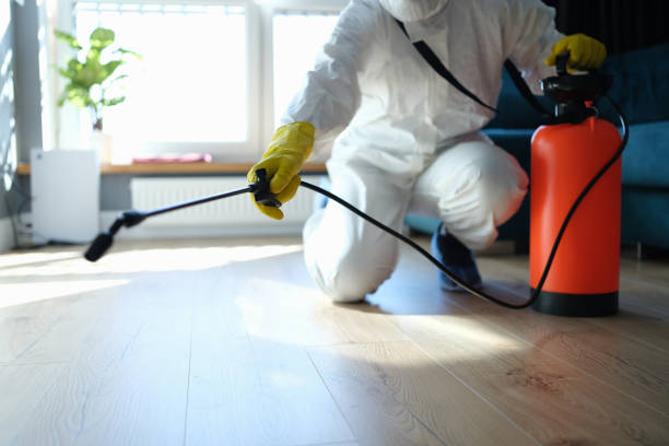 Reliable Helena Valley West Central, MT Pest Control Solutions