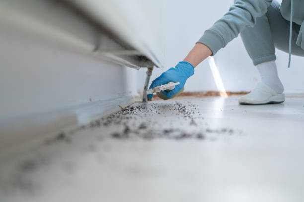 Best Wildlife Control Services  in Helena Valley West Central, MT